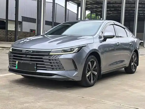 BYD Destroyer 05 2024