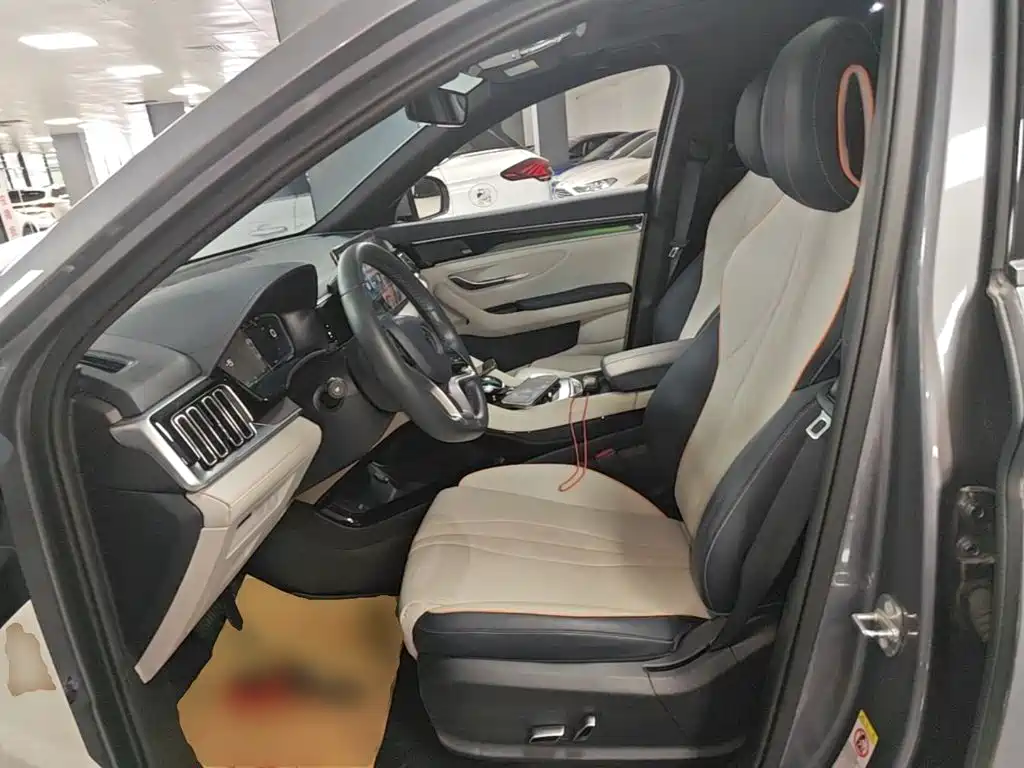 BYD Song PLUS New Energy 2022 — фото 15