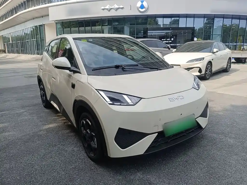 BYD Seagull 2025