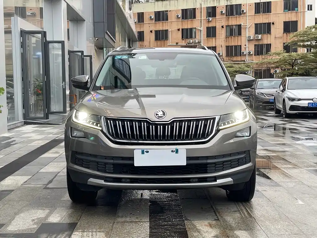Skoda Kodiaq 2019 — фото 24