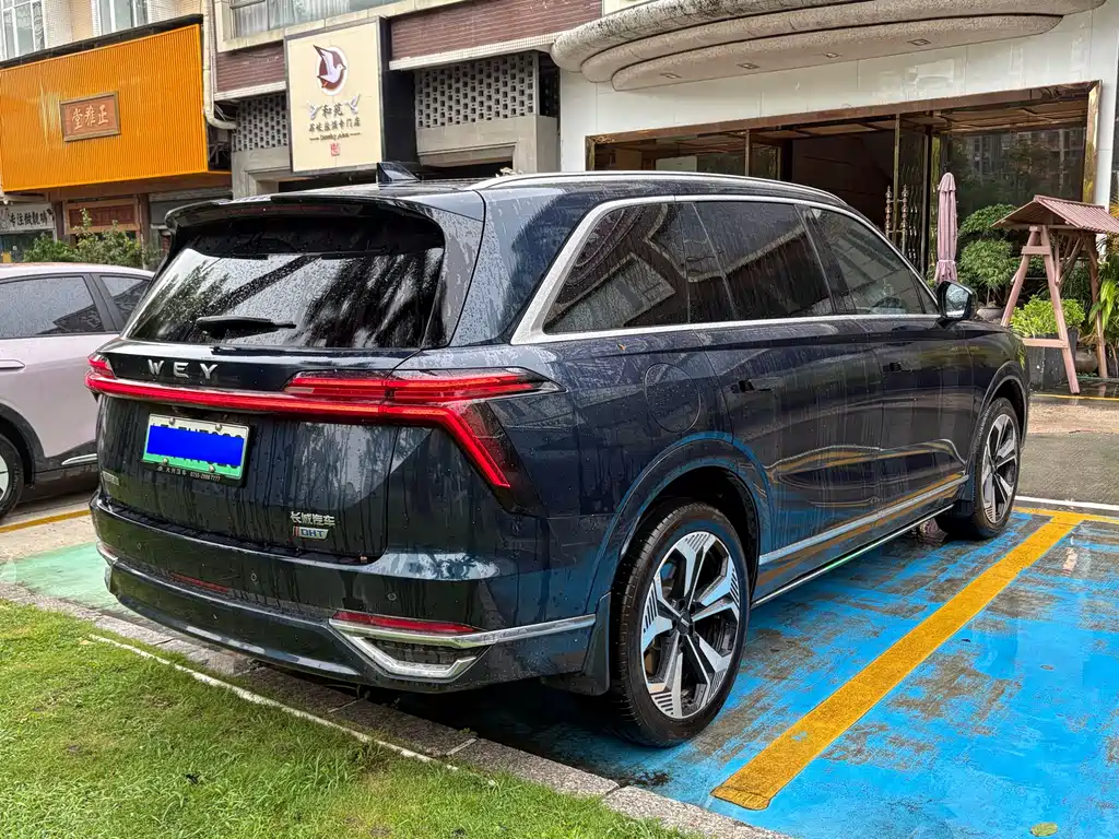 Wey Lanshan 2024