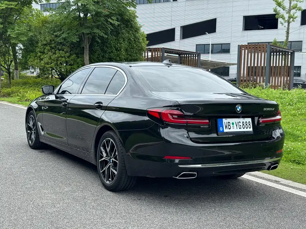 BMW 5 Series 2019
