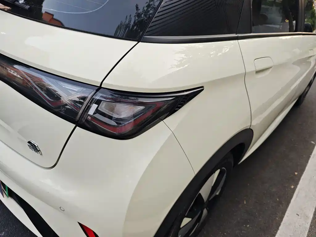 BYD Dolphin 2023 — фото 38