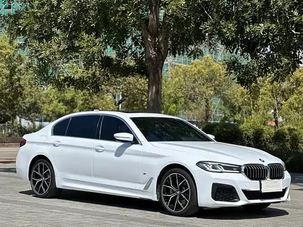 BMW 5 Series 2021