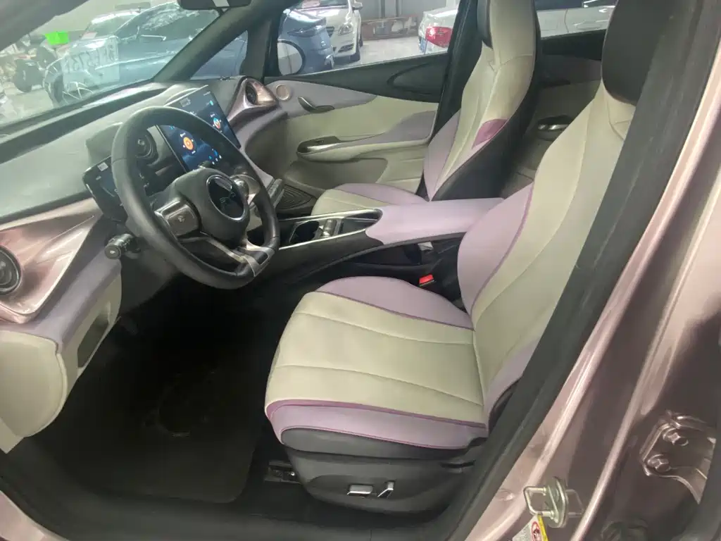 BYD Dolphin 2022
