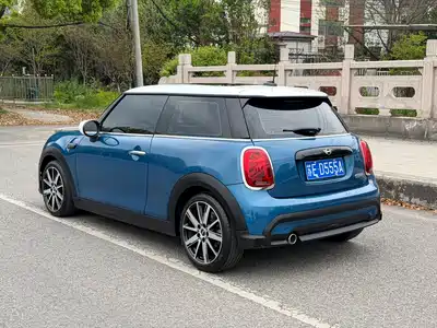 MINI MINI 2022