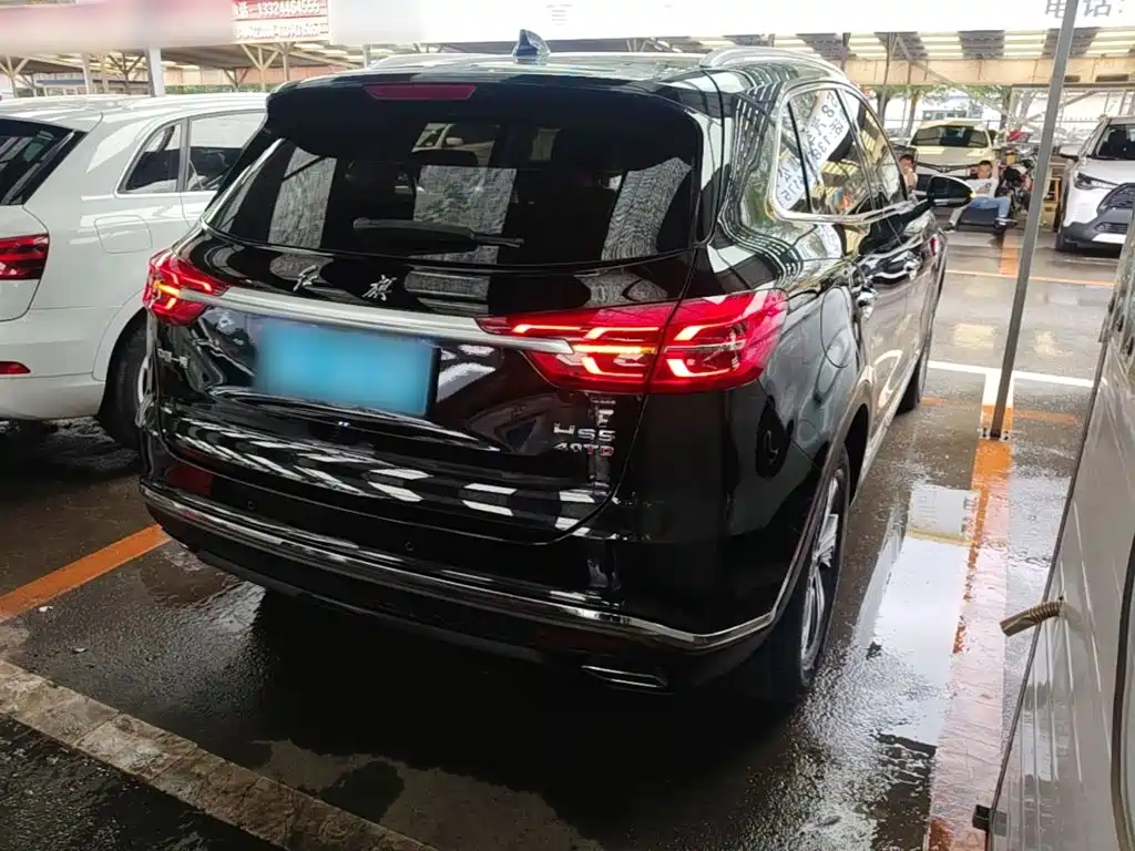 Hongqi HS5 2019