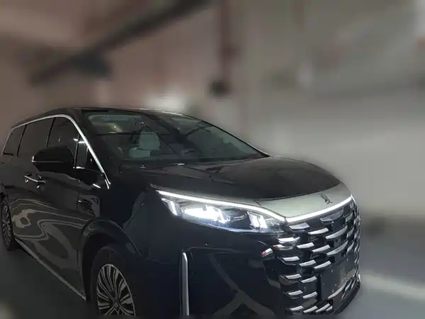 BYD Summer 2025
