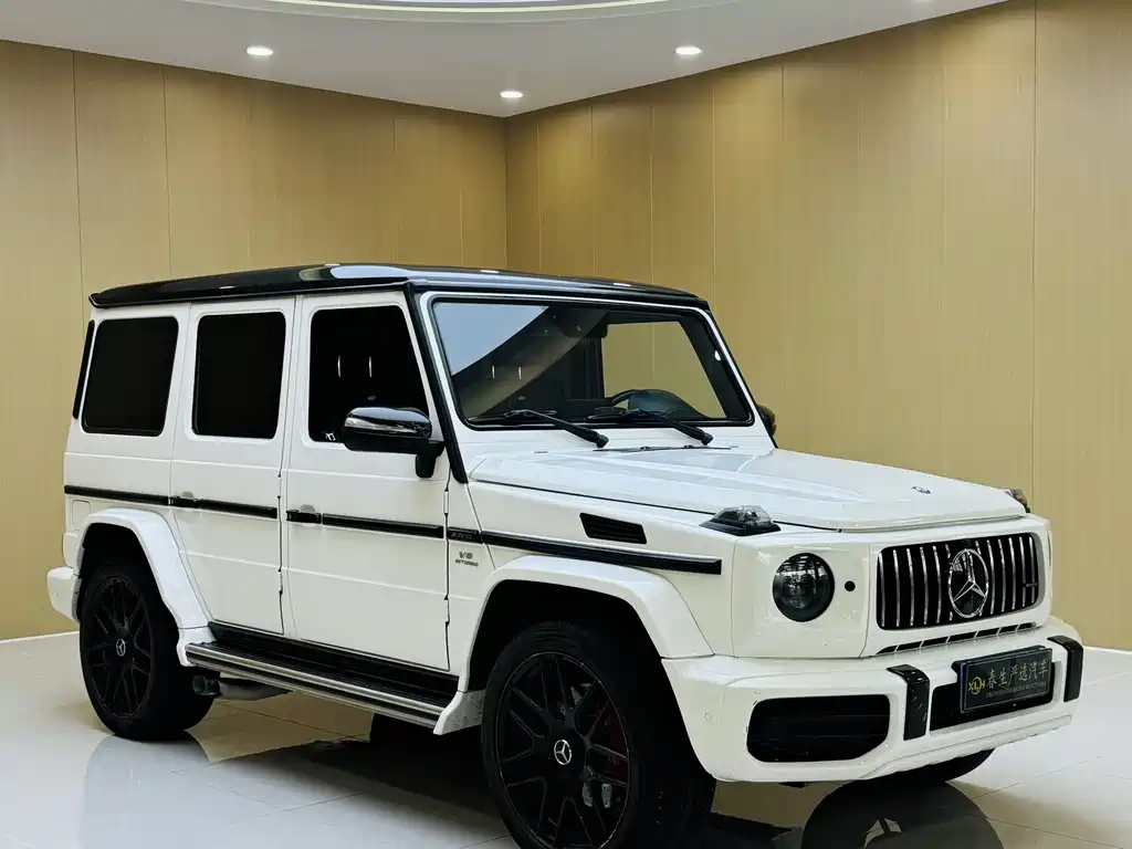 Mercedes-Benz G-Class 2017 — фото 3