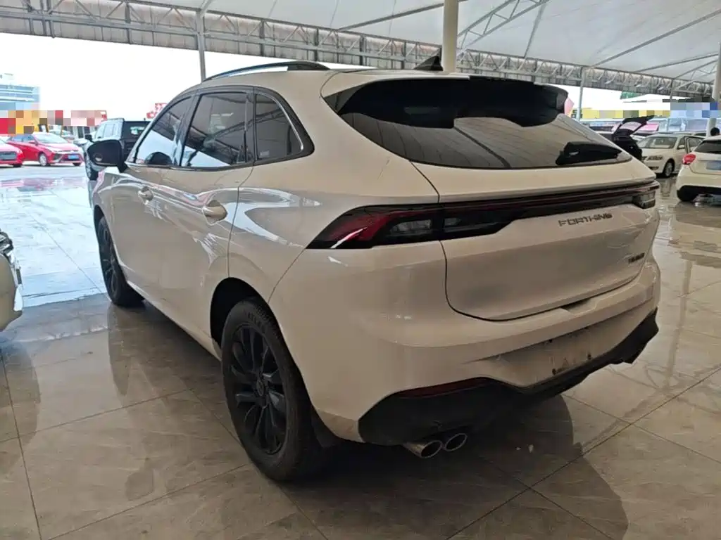 Dongfeng Fengxing T5 EVO 2021 — фото 24
