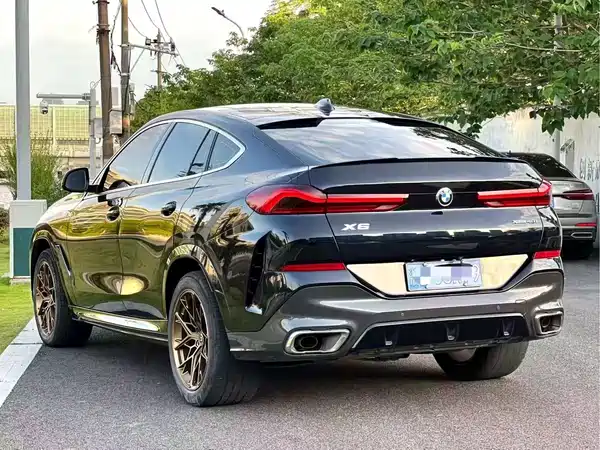 BMW X6 2021
