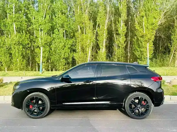Wey VV7 2018