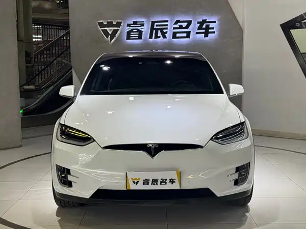 Tesla Model X 2019