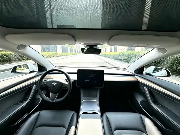 Tesla Model 3 2020