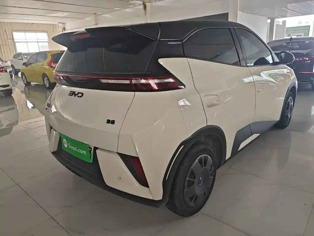 BYD Seagull 2025