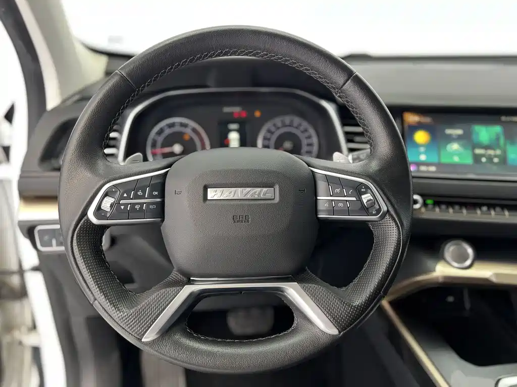 Haval H6 2020 — фото 12