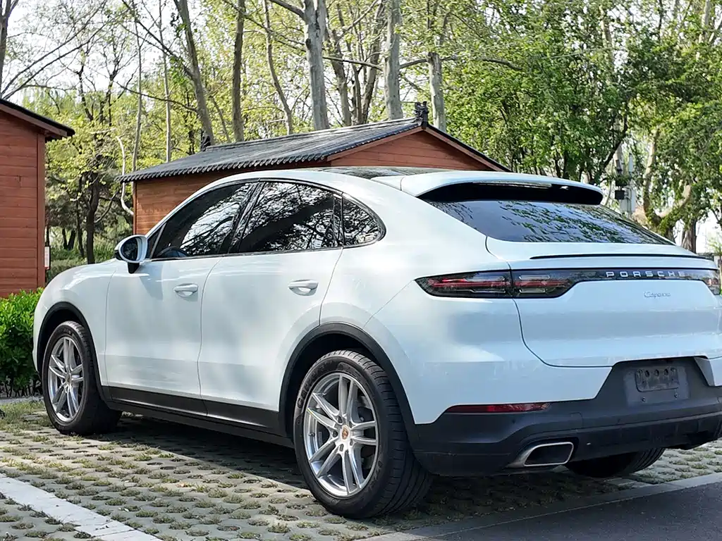 Porsche Cayenne 2021 — фото 17