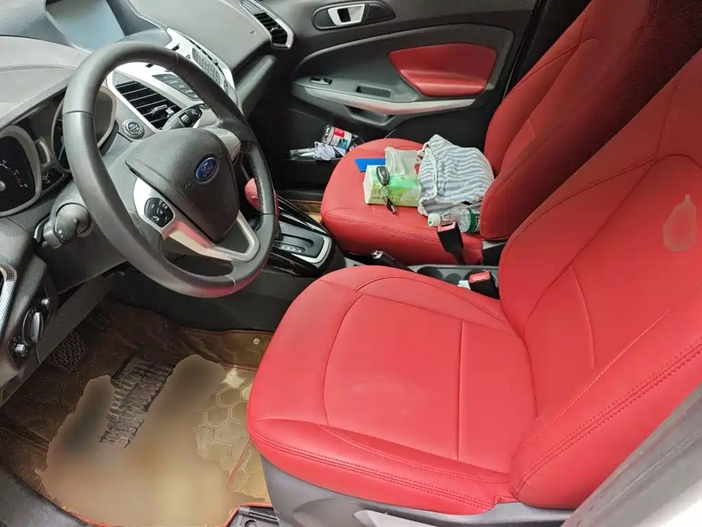 Ford Ecosport 2014 — фото 12