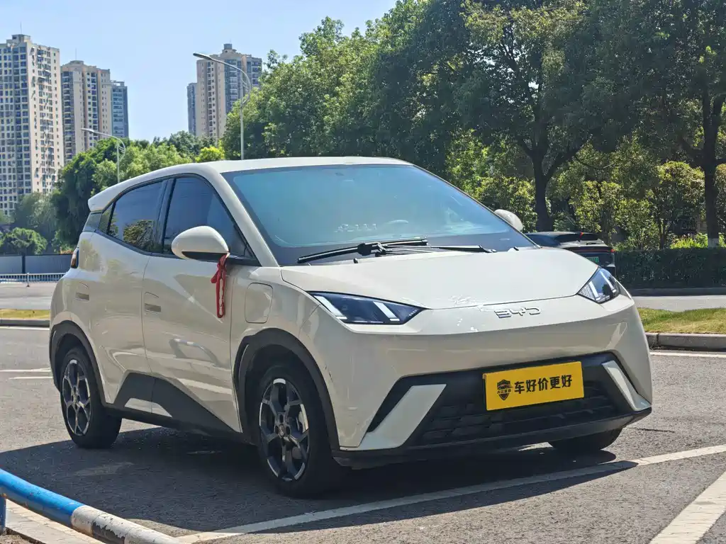 BYD Seagull 2025