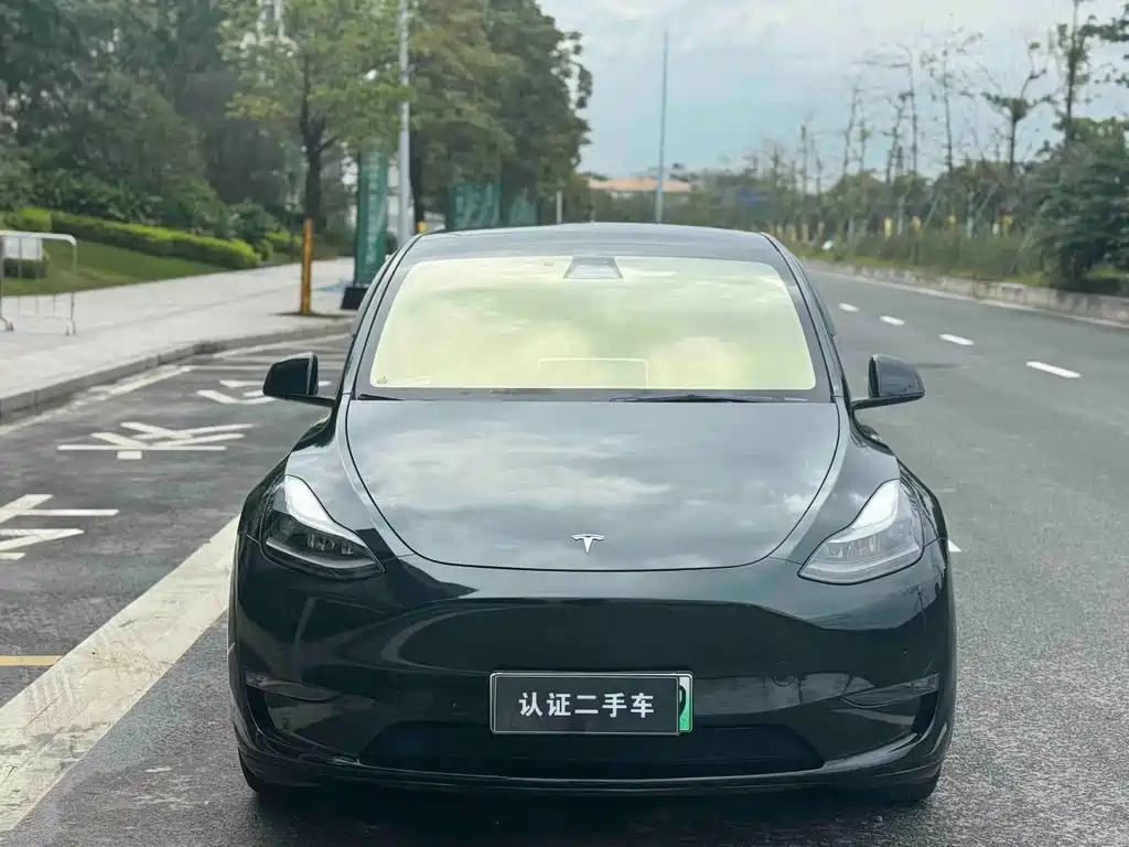 Tesla Model Y 2021 — фото 3