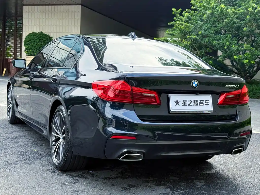 BMW 5 Series 2019 — фото 3