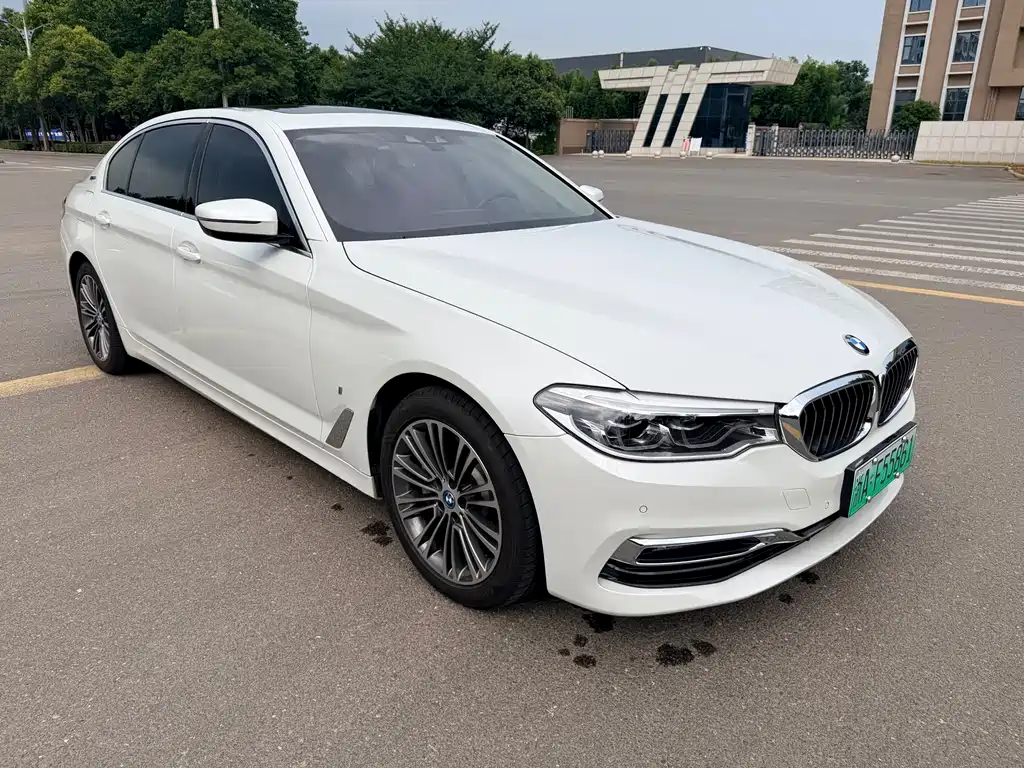 BMW 5 Series New Energy 2019