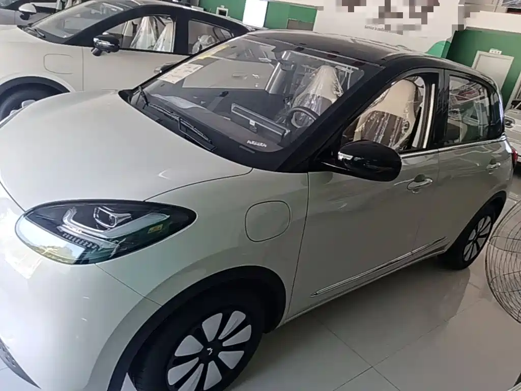 Wuling Bingo 2025