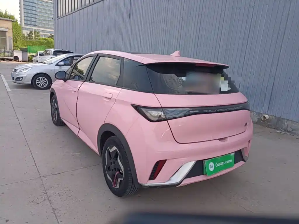 BYD Dolphin 2022