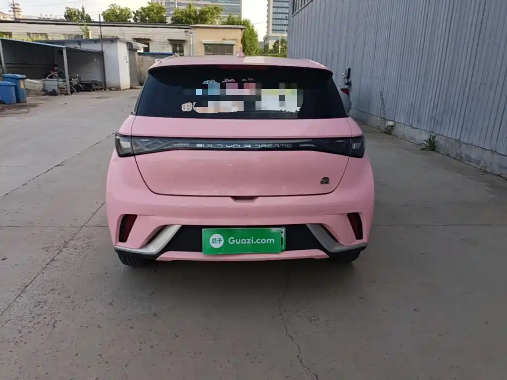 BYD Dolphin 2022