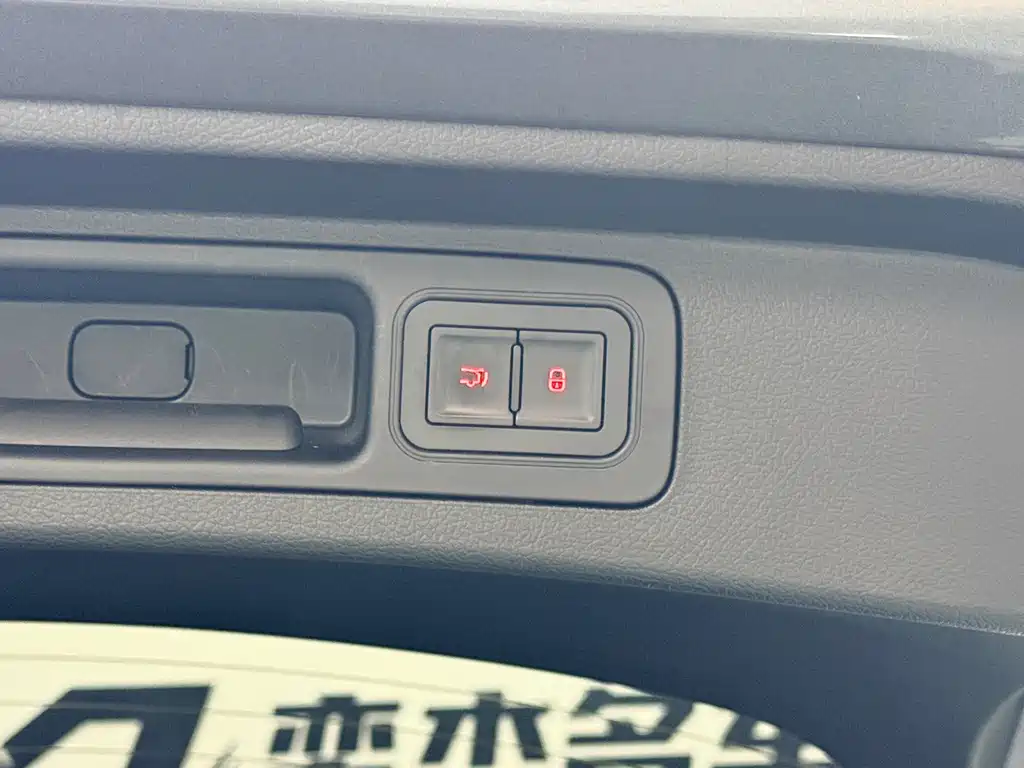 BYD PLUS New Energy 2024 — фото 18