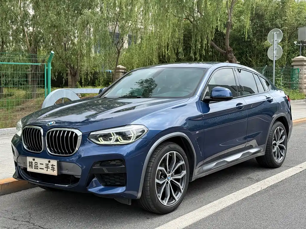 BMW X4 2020 — фото 1
