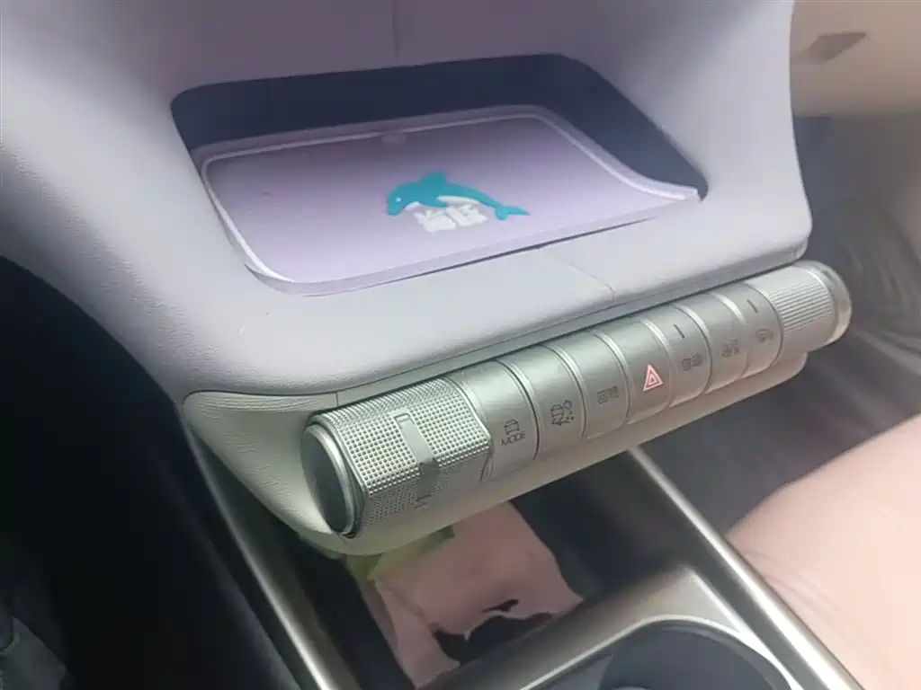 BYD Dolphin 2023 — фото 14