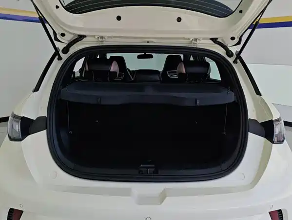 BYD Dolphin 2026