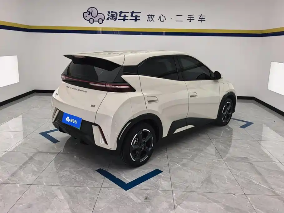 BYD Seagull 2024