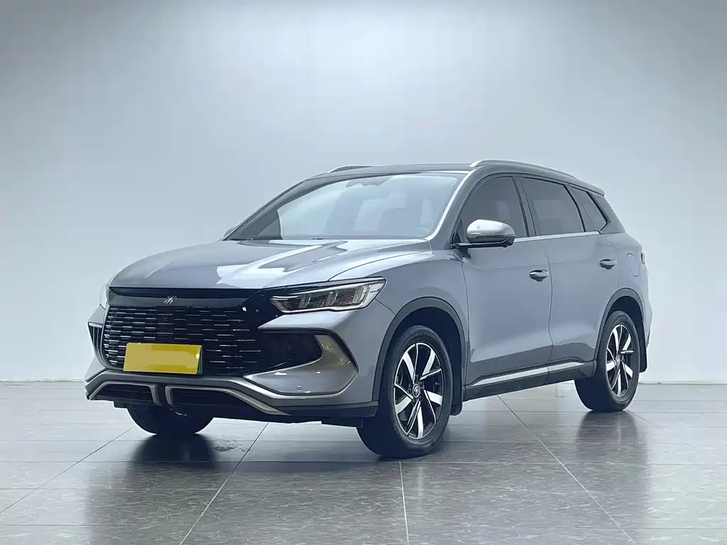 BYD Pro New Energy 2024 — фото 1