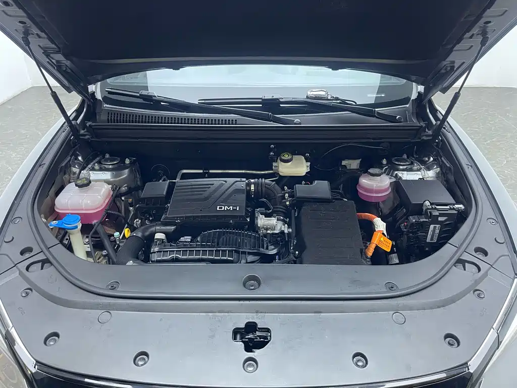 BYD Pro New Energy 2024 — фото 16