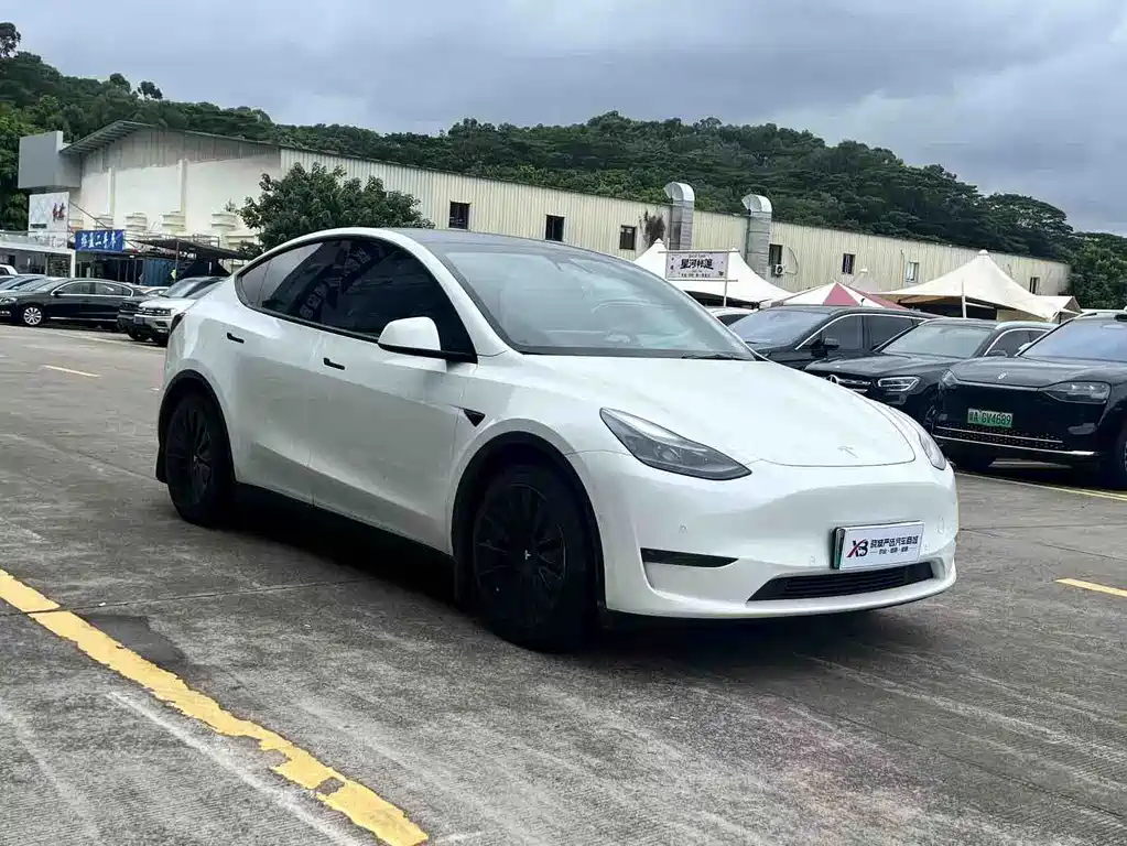 Tesla Model Y 2021 — фото 3