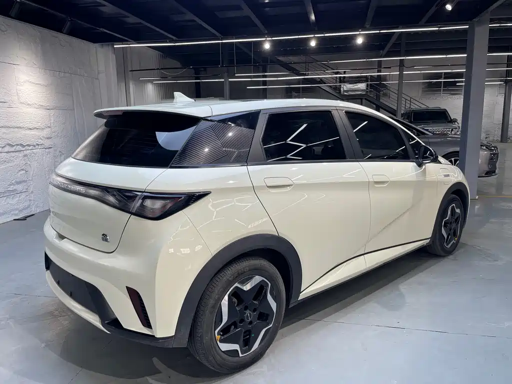 BYD Dolphin 2023 — фото 16