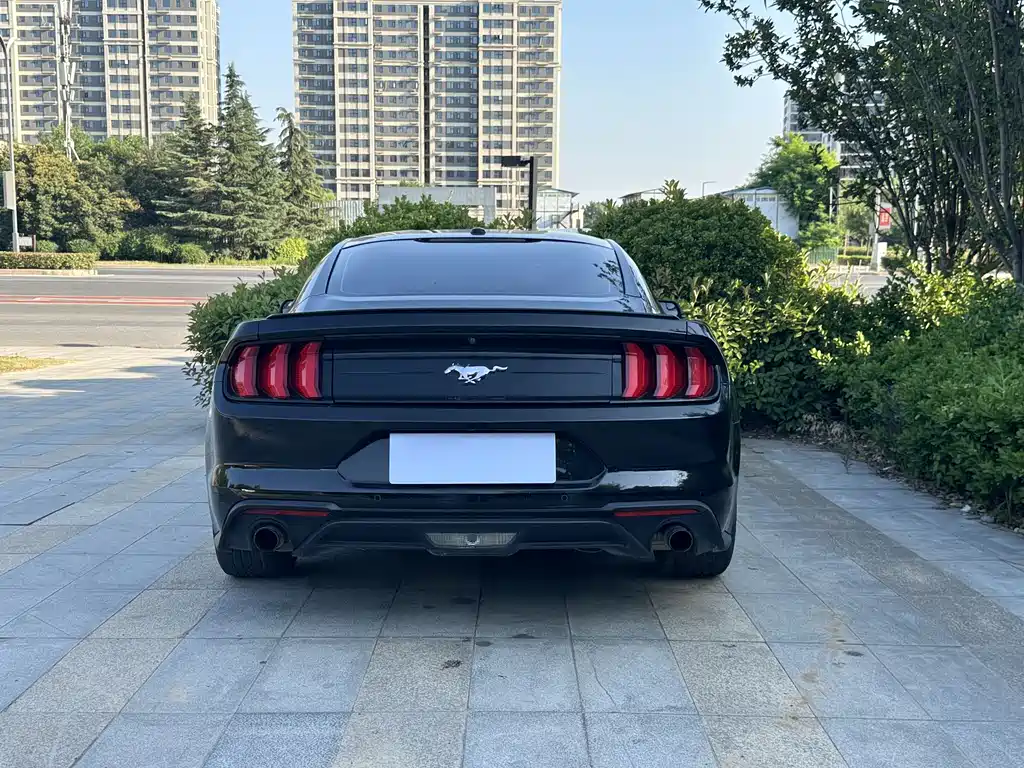 Ford Mustang 2019 — фото 10