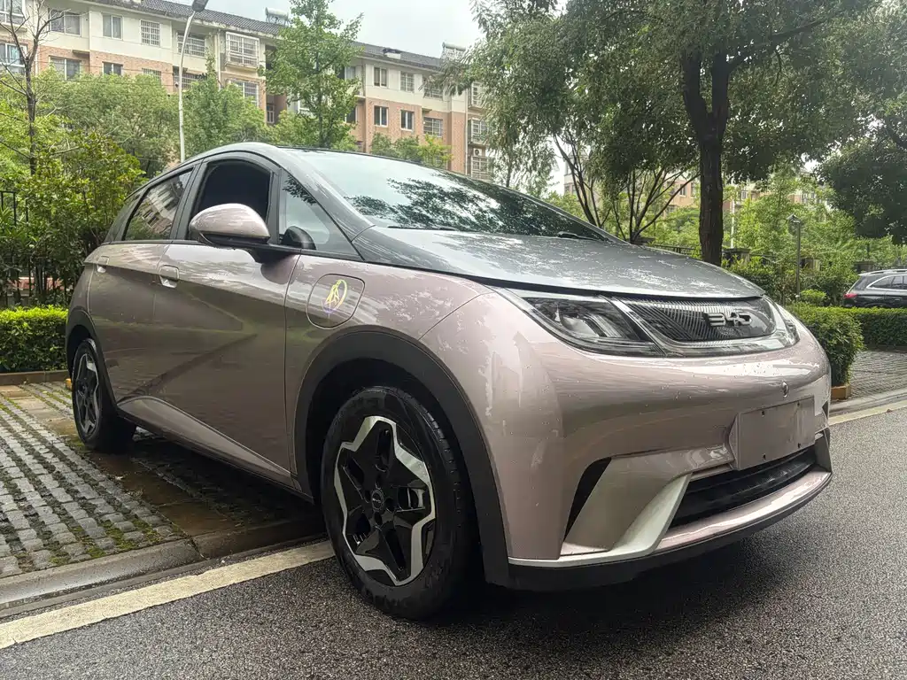 BYD Dolphin 2021