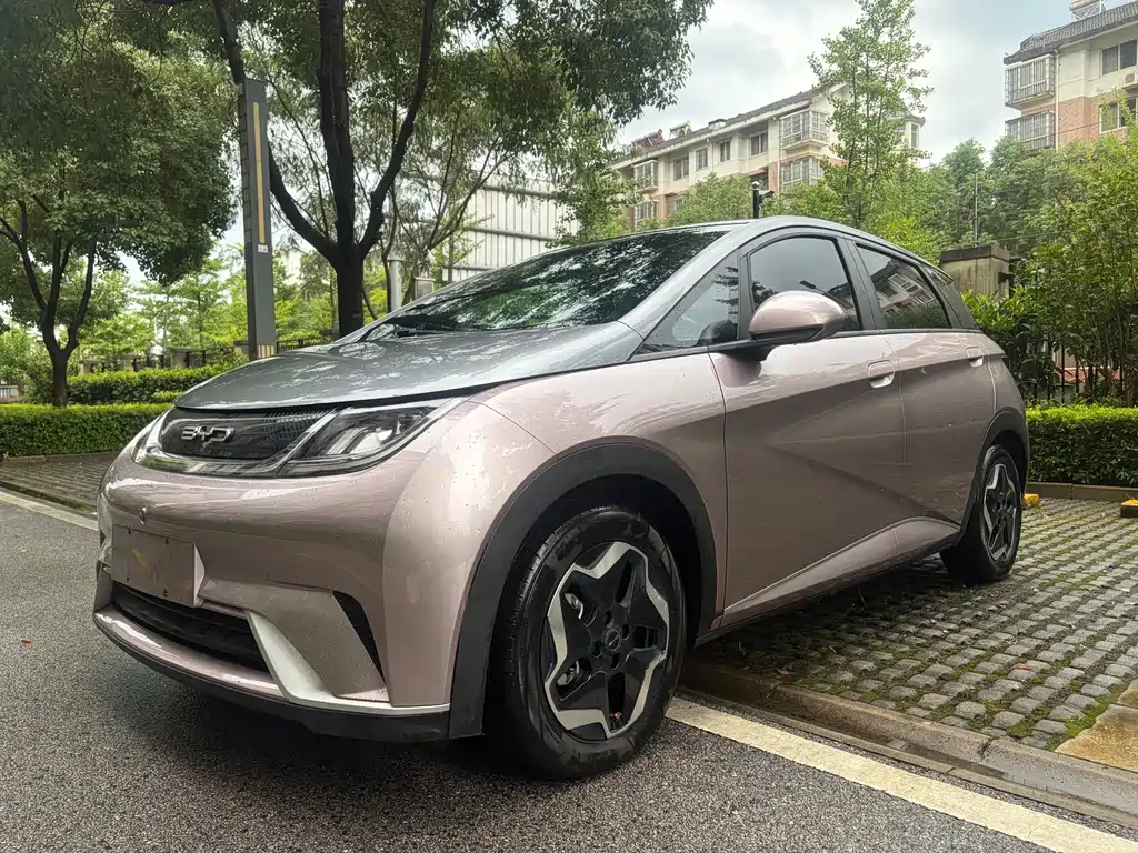 BYD Dolphin 2021