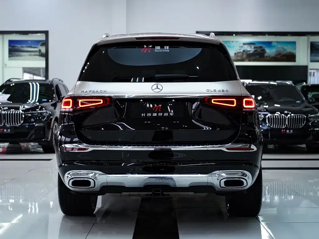 Mercedes-Benz GLS 2022 — фото 20
