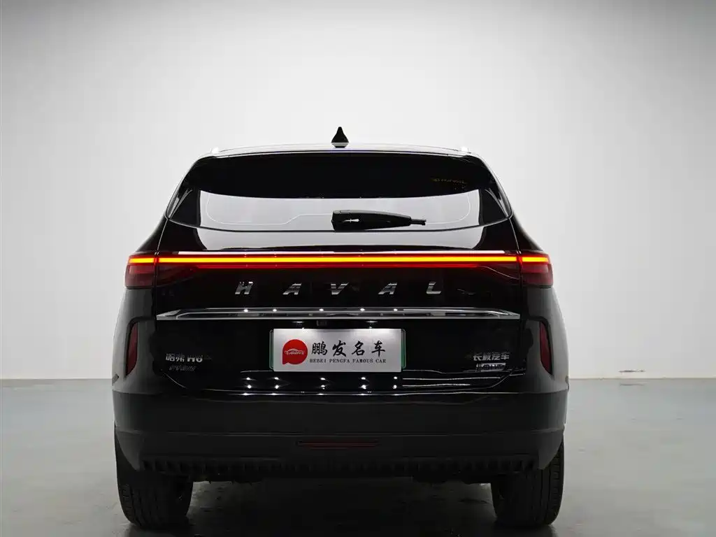 Haval H6 New Energy 2023 — фото 14