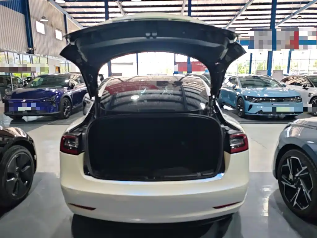 Tesla Model 3 2021 — фото 19