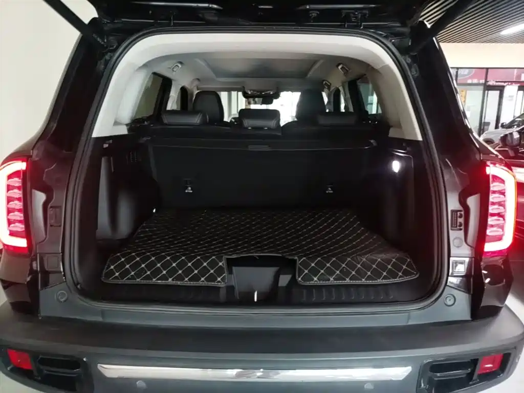 Haval Big Dog 2022 — фото 19