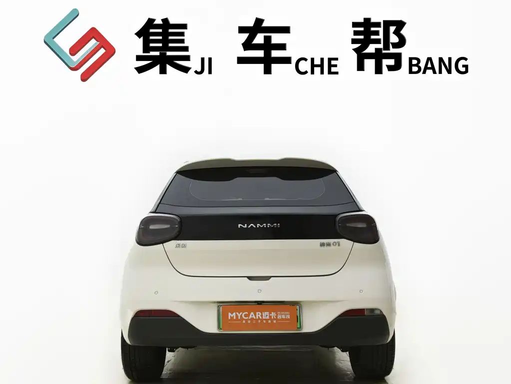 Dongfeng Nano 01 2024