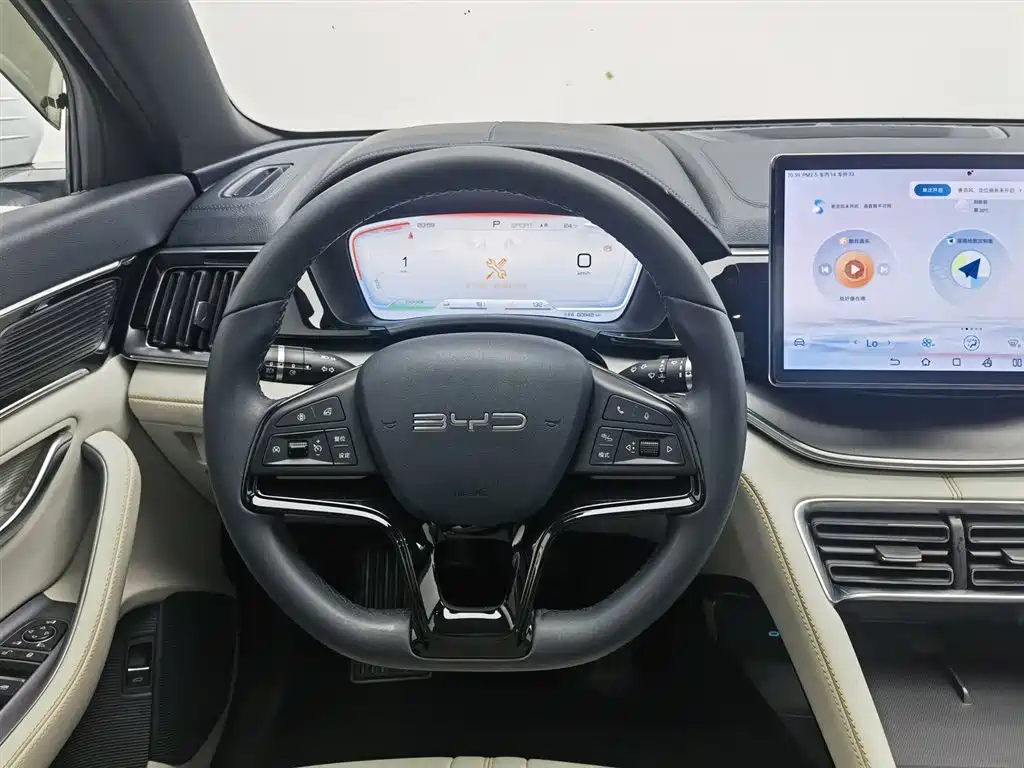 BYD PLUS New Energy 2024 — фото 11