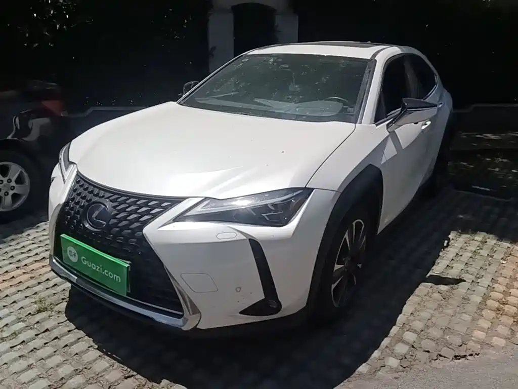 Lexus UX 2020 — фото 1