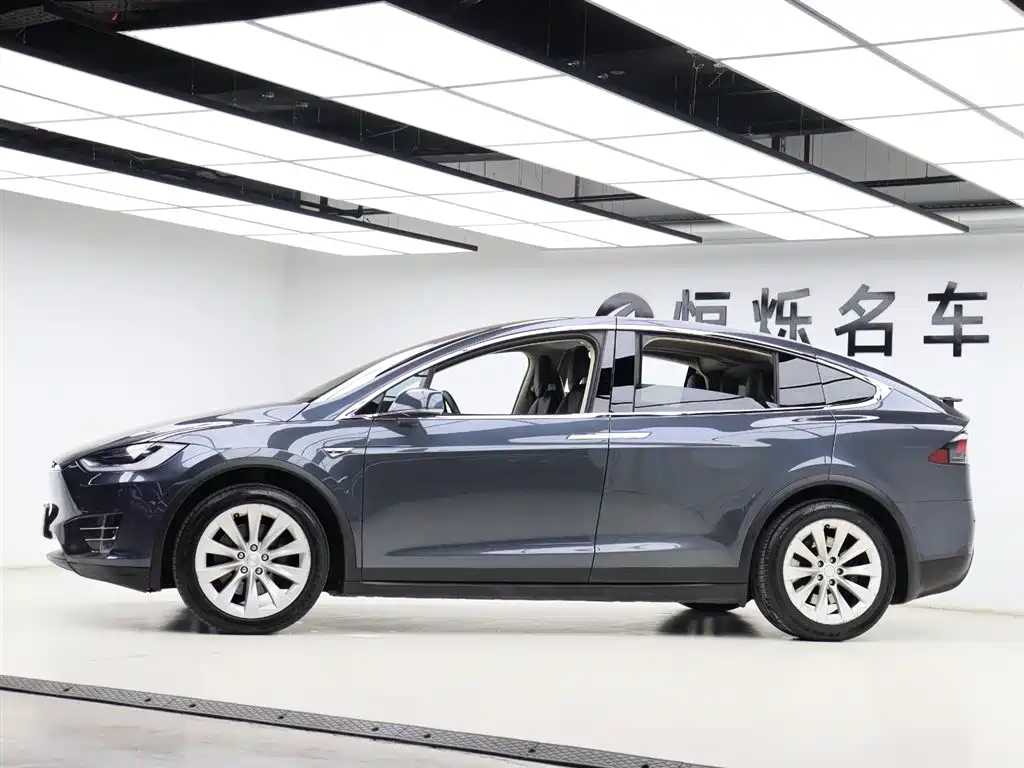 Tesla Model X 2017 — фото 25