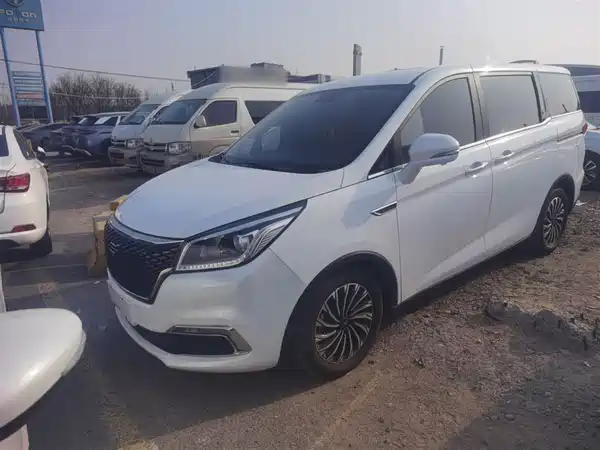 Changan Auchan Coshan 2019
